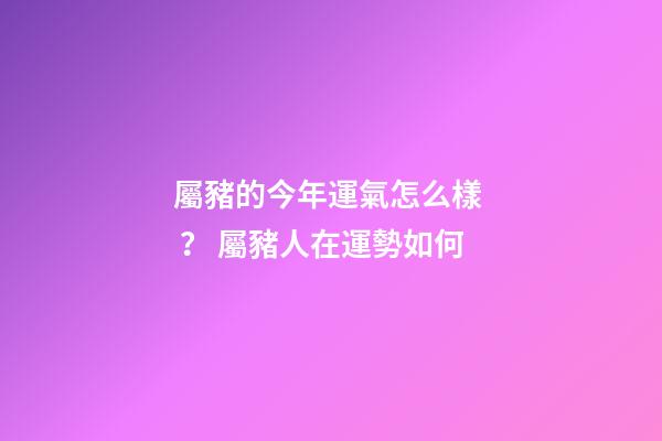 屬豬的今年運氣怎么樣？ 屬豬人在運勢如何